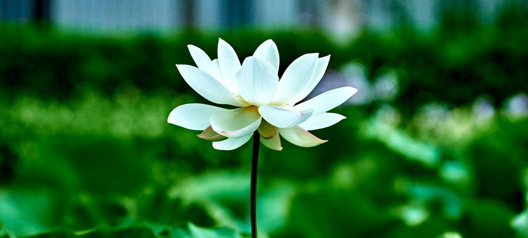 Momento di pratica meditativa in gruppo